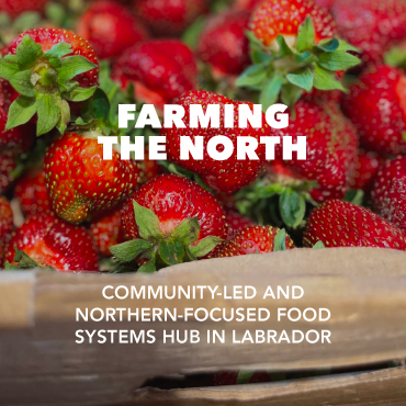 Farming the North